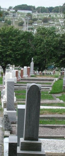large cemetery